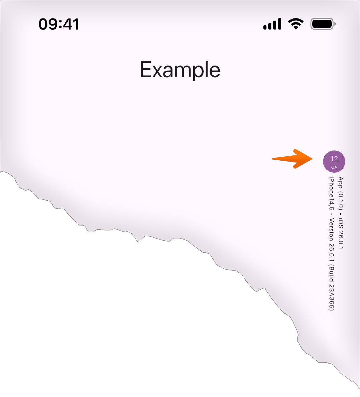 iOS: QA Environment